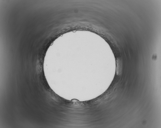 X0000116631491201001081241