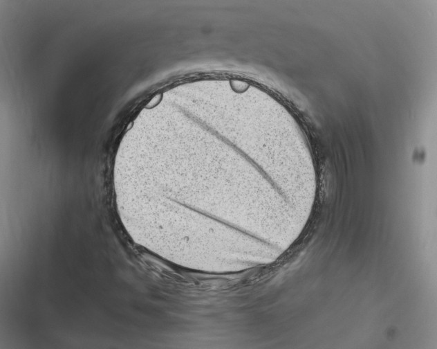 X0000116631494201001081241