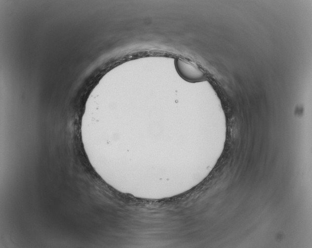 X0000116631495201001081241