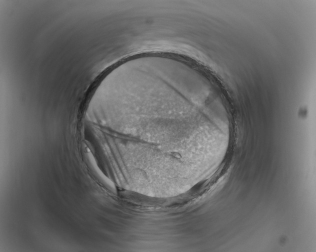 X0000116631497201001081241