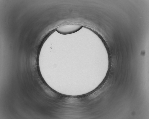 X0000116631499201001081241