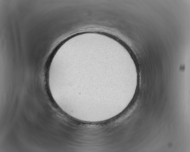 X0000116631501201001081241