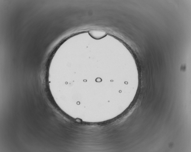 X0000116631502201001081241