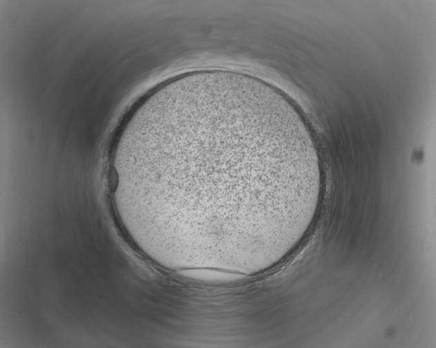 X0000116631507201001081242