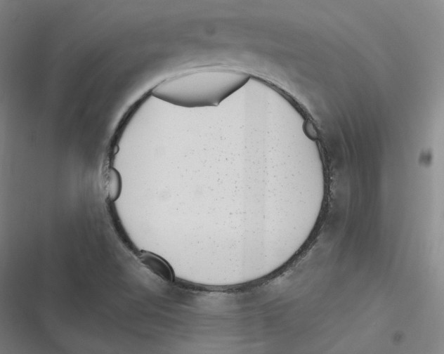 X0000116631510201001081242