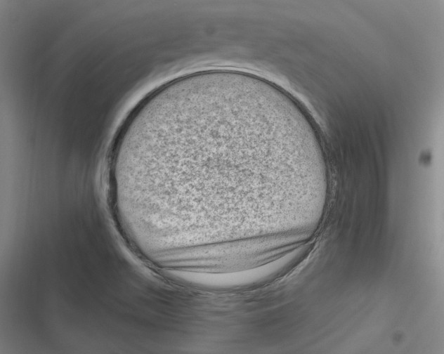 X0000116631511201001081242
