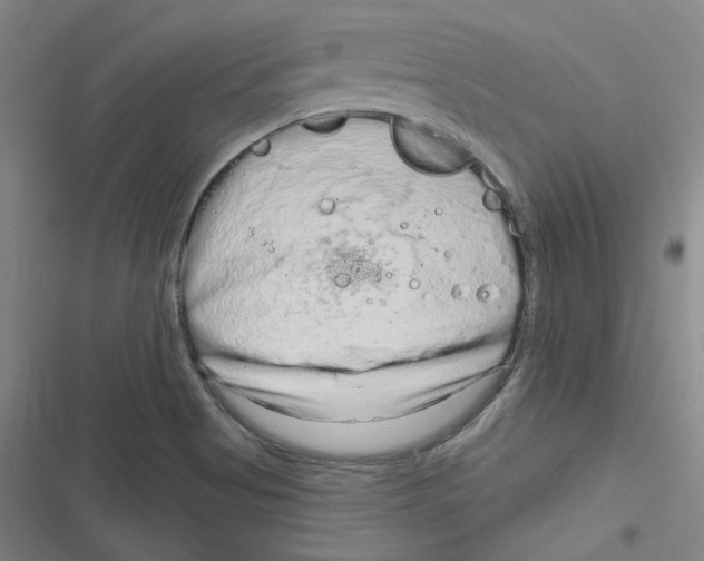 X0000116631513201001081242