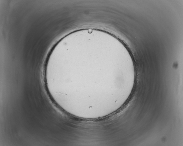 X0000116631517201001081242