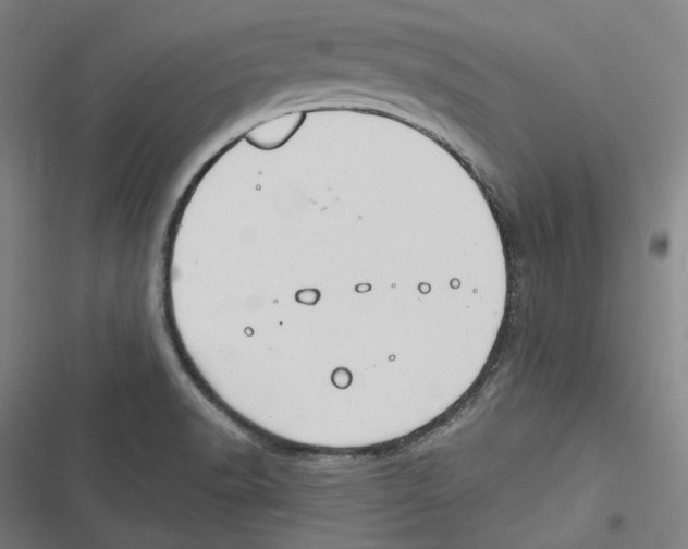 X0000116631518201001081242