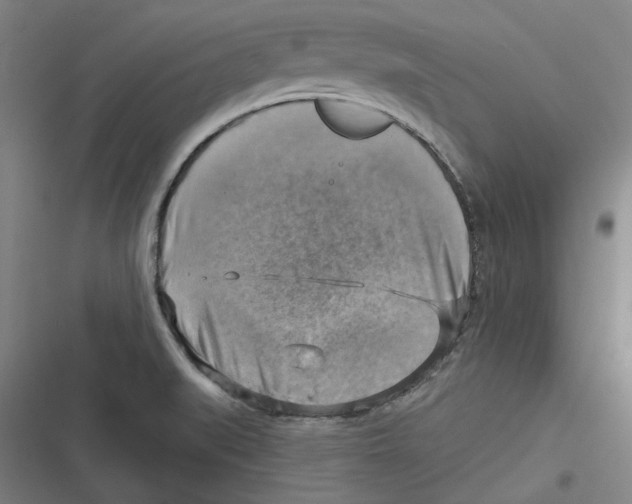 X0000116631519201001081242