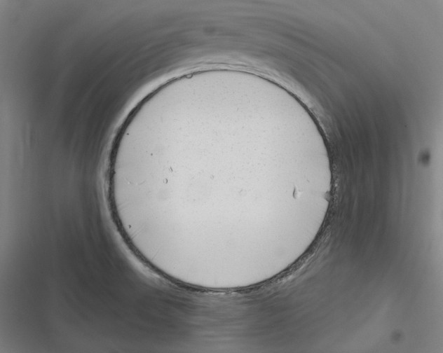 X0000116631523201001081242