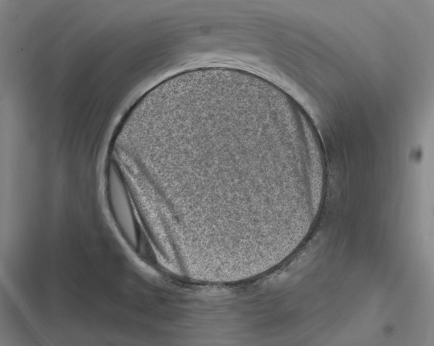X0000116631525201001081242