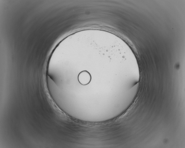 X0000116631530201001081242
