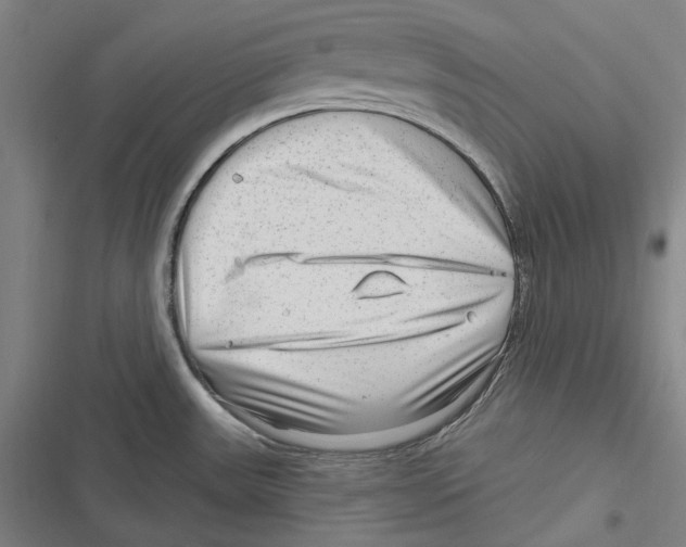 X0000116631531201001081242