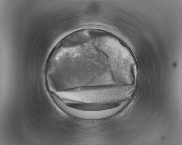 X0000116631533201001081242
