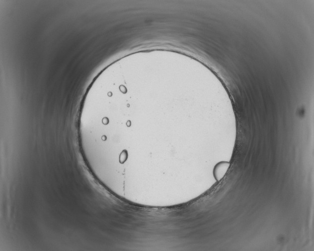 X0000116631534201001081242