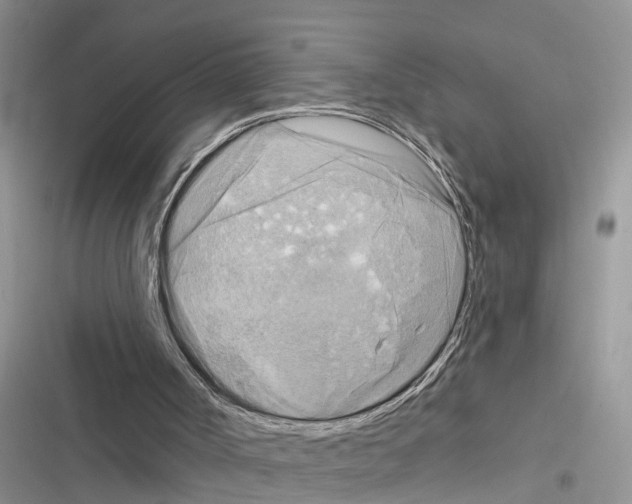 X0000116630002201001221410