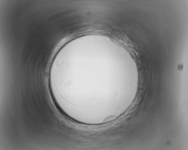 X0000116630003201001221410