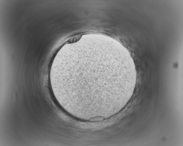 X0000116630005201001221410