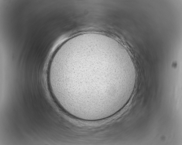 X0000116630006201001221410