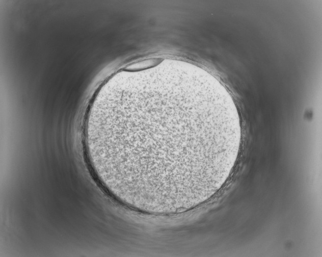 X0000116630007201001221410