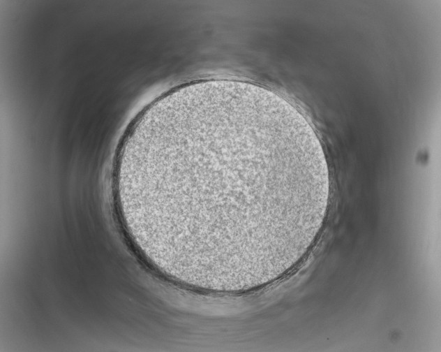 X0000116630008201001221410