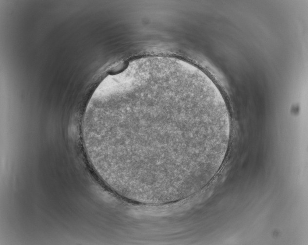X0000116630009201001221410