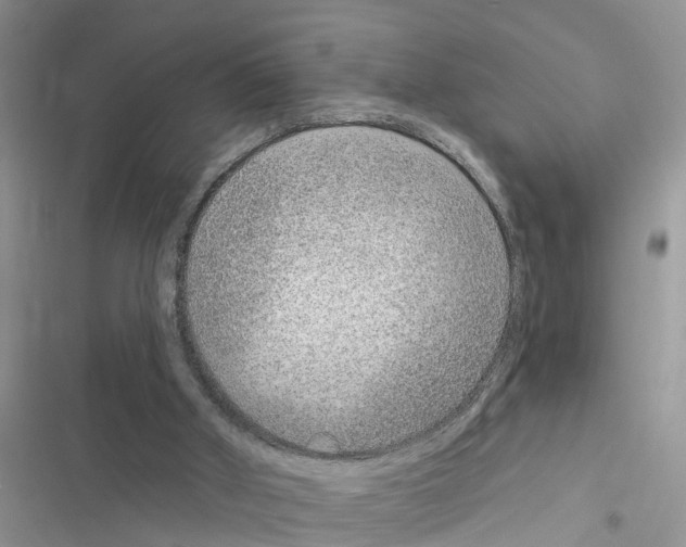 X0000116630010201001221410