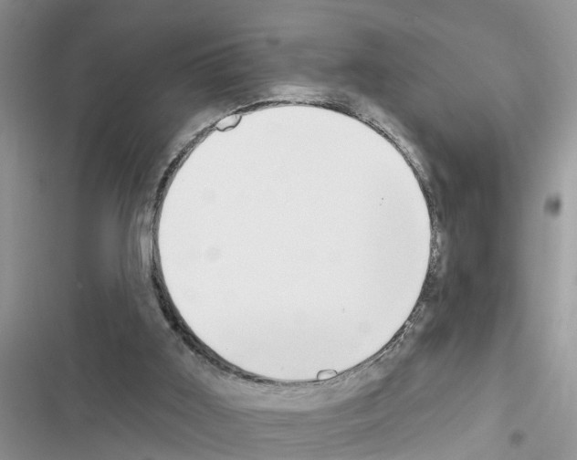 X0000116630011201001221410