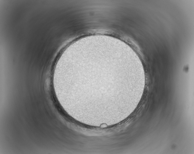 X0000116630012201001221410