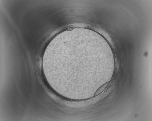 X0000116630013201001221410