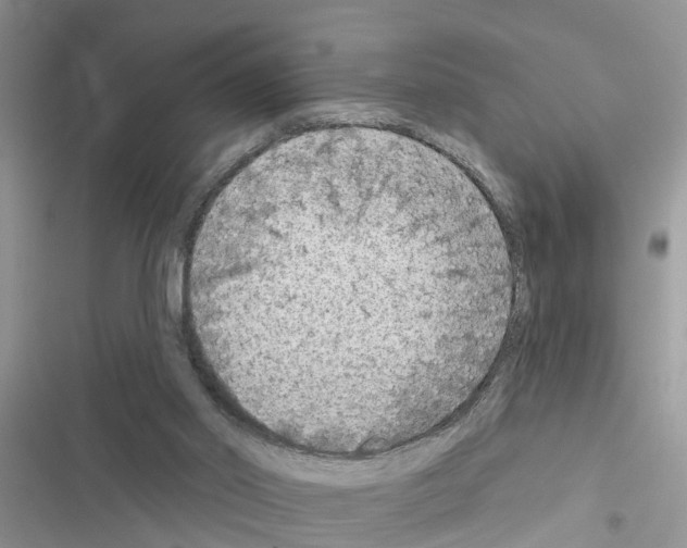 X0000116630014201001221410