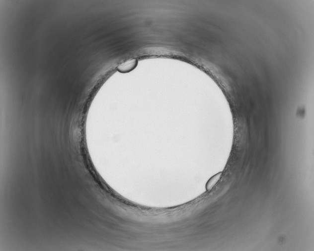 X0000116630015201001221410
