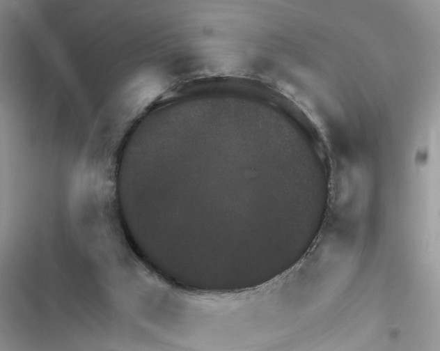 X0000116630017201001221410