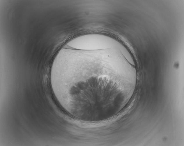 X0000116630018201001221410