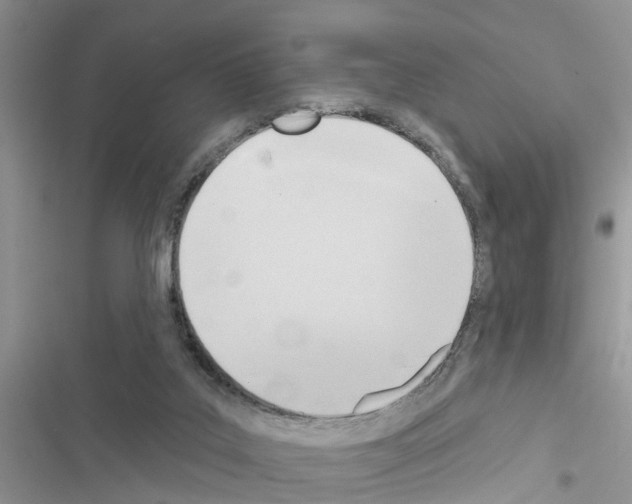 X0000116630019201001221410