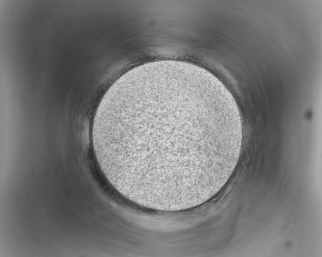 X0000116630020201001221410