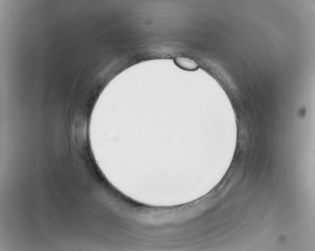 X0000116630021201001221410