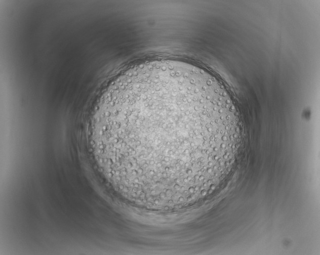 X0000116630022201001221410