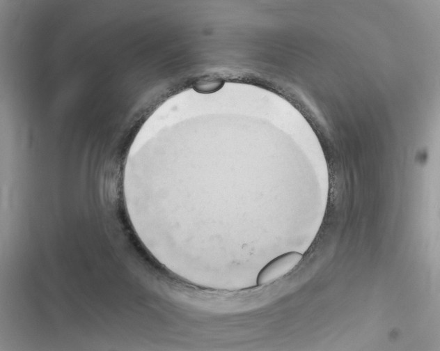 X0000116630023201001221410