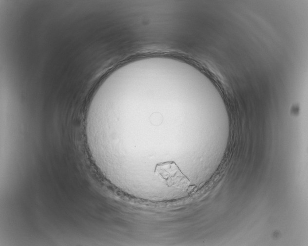 X0000116630024201001221410