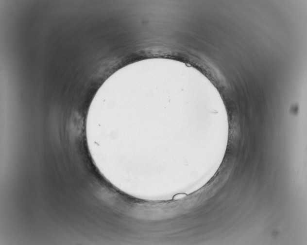 X0000116630025201001221410