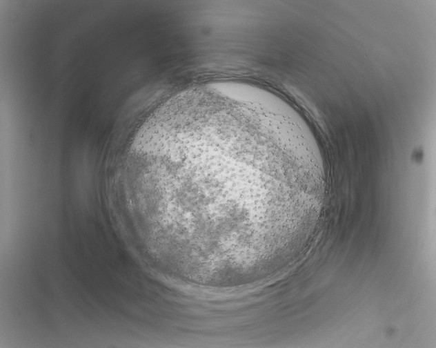 X0000116630026201001221410