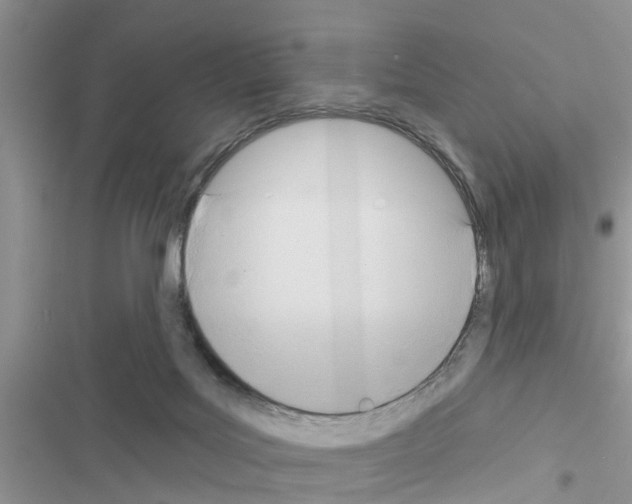 X0000116630027201001221410