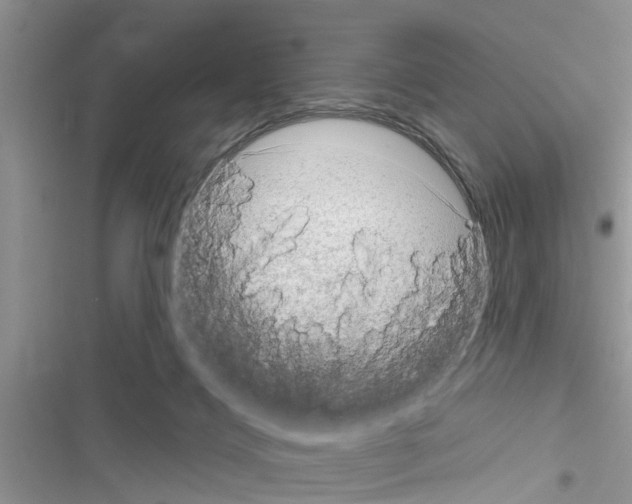 X0000116630028201001221410