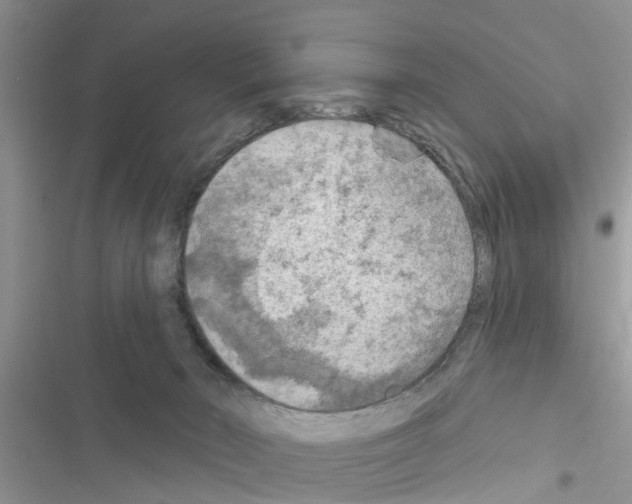 X0000116630030201001221410