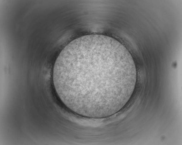 X0000116630032201001221410