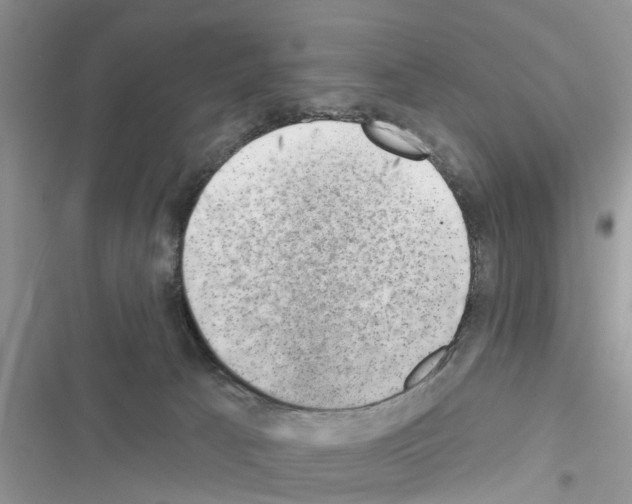 X0000116630033201001221410