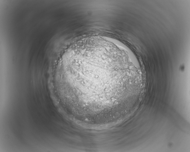 X0000116630034201001221410