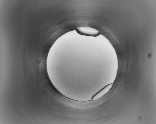 X0000116630035201001221410